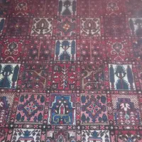 فرش دستباف|فرش|اصفهان, شاهزید|دیوار