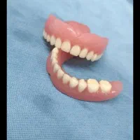 نیازمند ب یک همکار پروتز متحرک کار ماهر