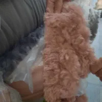 پارچه خز و تدی ببئی ایرانی و خارجی|لوازم خیاطی و بافتنی|تهران, شهرک ولیعصر جنوبی|دیوار