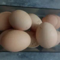 تخم مرغ گلپایگان