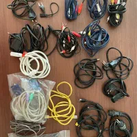 همه با هم فقط به دلیل مهاجرت