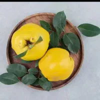 میوه ارگانیک..میوه  به  شهرستان  اراک|خوردنی و آشامیدنی|تهران, شهرک شهید باقری|دیوار