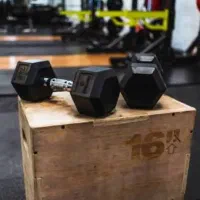 مربی بین المللی فیتنس و بدنسازی