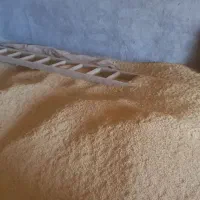 جو آبی جلگه|عمدهفروشی|ایجرود, |دیوار
