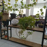 نیازمند یک کارگر ساده برای رستوران