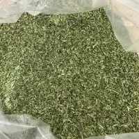 سبزی خشک اعلاجهت صادرات،تامین مستقیم +نمونه