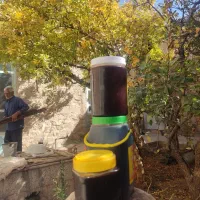 رب انار روستا|خوردنی و آشامیدنی|تفت, |دیوار