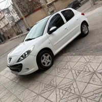 ۲۰۷ پانوراما بی رنگ بدون ضربه|خودرو سواری و وانت|اردبیل, |دیوار