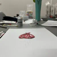 آموزش تخصصی طراحی لباس|خدمات آموزشی|یزد, |دیوار