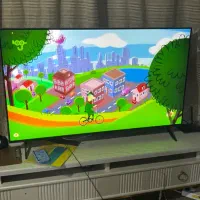 تلوزلیون پنجاه پنج اینج