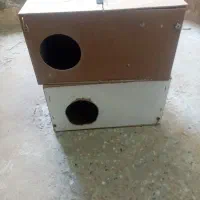 لونه پرنده سالم و کم استفاده فروشی