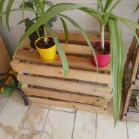 گل و گیاه|گل و گیاه طبیعی|اردکان, |دیوار