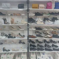 اکیف و کفش پانیک