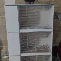 قفس عروس هلندی سه طبقه