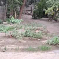 400 متر باغ و ویلایی در شهر رودبار|فروش زمین و ملک کلنگی|رودبار, |دیوار