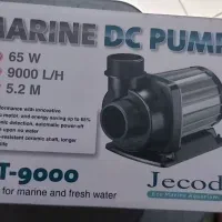 اکواریوم پمپ جیکودماهی گلدفیش رنچووارداتی تاپ گرید|ماهی|تهران, جنت‌آباد مرکزی|دیوار