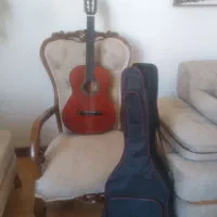 گیتار نو|گیتار، بیس، امپلیفایر|اردبیل, |دیوار