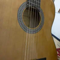 گیتار برند Maryar|گیتار، بیس، امپلیفایر|اهواز, سپیدار|دیوار