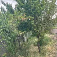 باغ ویلا معین آباد|فروش خانه و ویلا|مشهد, کلاکوب|دیوار