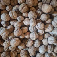 گردو درگز|خوردنی و آشامیدنی|درگز, |دیوار