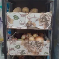 جا سیب زمینی پیاز