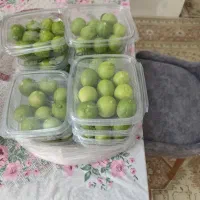 فروش لیموی سبز