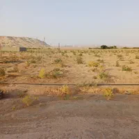 فروش زمین باغچه پسته ۴ ساله۹۵۰ متری باسندوآب وبرق|فروش دفتر صنعتی، کشاورزی، تجاری|جوادآباد, |دیوار
