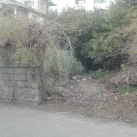 مشارکت در ساخت زمین 200 متر در گلستانهای امیرآباد