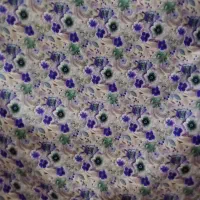 فروش نخی چینی|لباس|بندرعباس, |دیوار