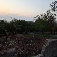 فروش ۲ پلاک مسکونی در شیرگاه (روستای چالی)|فروش زمین و ملک کلنگی|شیرگاه, |دیوار