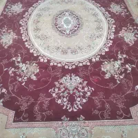 قالی12متری بسیار تمیز|فرش|رامشیر, |دیوار