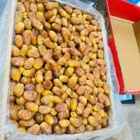 خرما زاهدی سوپر لوکس خیلی درشت و خوشمزه