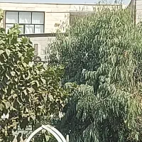 پرستار برای نگهداری از سالمندخانم