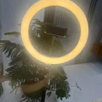 رینگ لایت|دوربین عکاسی و فیلم‌برداری|تهران, فلسطین (میدان انقلاب)|دیوار