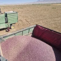 حمل بار با بنز کمپرسی