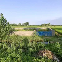 زمین کاسبی می خوای این زمین رو از دست نده|فروش زمین و ملک کلنگی|رشت, بازار|دیوار