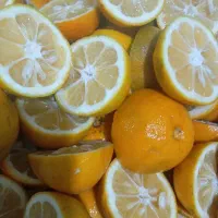 اب نارنج|خوردنی و آشامیدنی|فاضل آباد, |دیوار