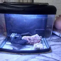 اکواریوم اب شور و شیرین