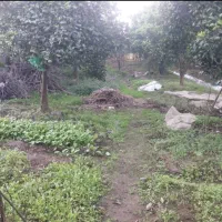 ۵۰۰ متر زمین مسکونی