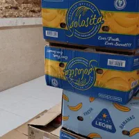 کارتن موزی و اسباب کشی