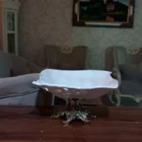 سرویس پذیرایی|ظروف سرو و پذیرایی|مشهد, چهارچشمه|دیوار