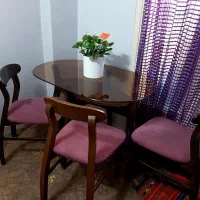 میز/ناهارخوری/سالم