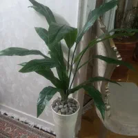 گل مصنوعی