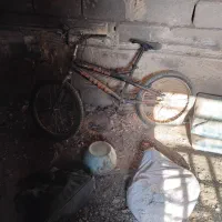 دوچرخه|دوچرخه، اسکیت، اسکوتر|فیروزه, |دیوار