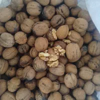 گردو|خوردنی و آشامیدنی|سملقان, |دیوار