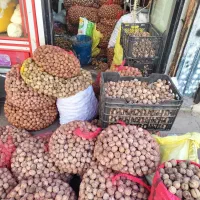 گردو|عمدهفروشی|طرقبه, |دیوار