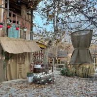 استخدام نیرو