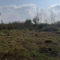 زمین-200-متری-با-نسخ-معتبر-غازیان