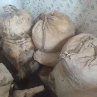 ماست خشک