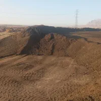 کود گاوی حیوانی گاوی آستانه  قدس رضوی ورمی سوخته